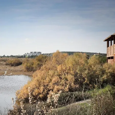 Lithos オロクリニ